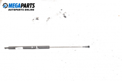 Tije telescopice, portbagaj for Renault Megane Scenic (10.1996 - 12.2001)