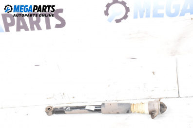 Amortizor for Volkswagen Passat V Variant B6 (08.2005 - 11.2011), combi, position: dreaptă - spate