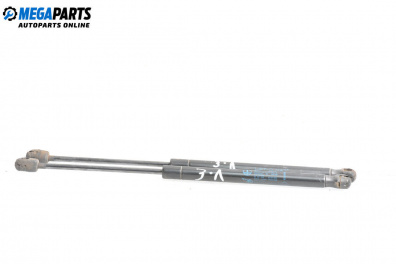 Tije telescopice, portbagaj for Renault Megane II Hatchback (07.2001 - 10.2012)