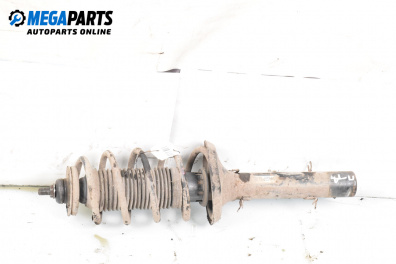Amortizor McPherson for Volkswagen Golf IV Hatchback (08.1997 - 06.2005), hatchback, position: dreaptă - fața