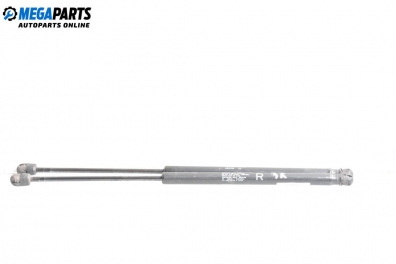 Tije telescopice, portbagaj for Peugeot 4007 SUV (02.2007 - 03.2013)