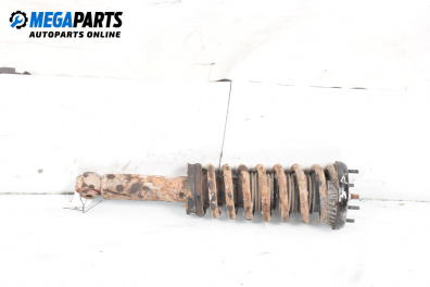 Macpherson shock absorber for Jaguar S-Type Sedan (01.1999 - 11.2009), sedan, position: rear - right