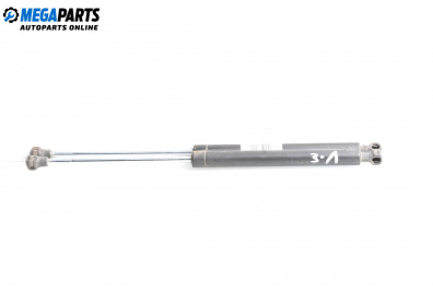 Tije telescopice, portbagaj for Renault Clio II Hatchback (09.1998 - 09.2005)