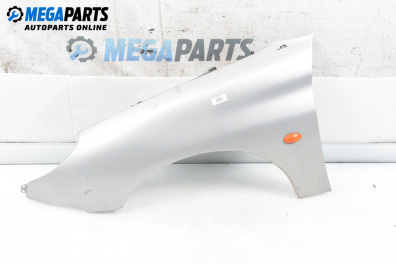 Fender for Peugeot 206 Hatchback (08.1998 - 12.2012), 3 doors, hatchback, position: front - left