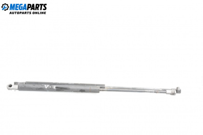 Tije telescopice, portbagaj for Fiat Punto Grande Punto (06.2005 - 07.2012)