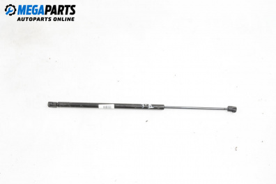 Tije telescopice, portbagaj for Renault Megane Scenic (10.1996 - 12.2001)