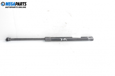 Tije telescopice, portbagaj for Audi A3 Hatchback I (09.1996 - 05.2003)