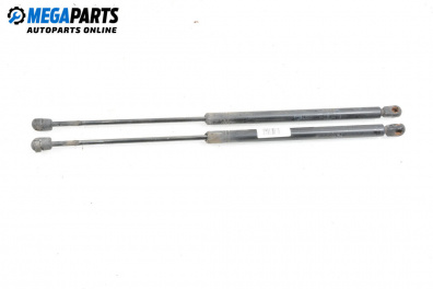 Tije telescopice, portbagaj for Opel Astra G Hatchback (02.1998 - 12.2009)