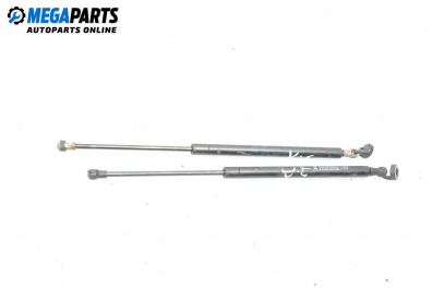 Tije telescopice, portbagaj for Renault Scenic I Minivan (09.1999 - 07.2010)