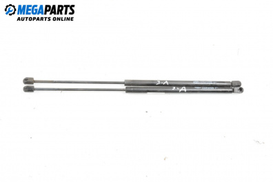 Tije telescopice, portbagaj for Renault Scenic I Minivan (09.1999 - 07.2010)