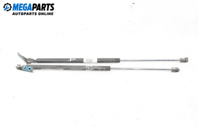 Tije telescopice, portbagaj for Hyundai Accent II Hatchback (09.1999 - 11.2005)