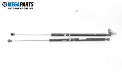 Tije telescopice, portbagaj for Peugeot Partner Combispace (05.1996 - 12.2015)