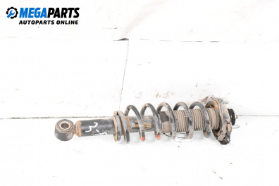 MacPherson-federbein for Toyota Corolla Verso II (03.2004 - 04.2009), minivan, position: rechts, rückseite