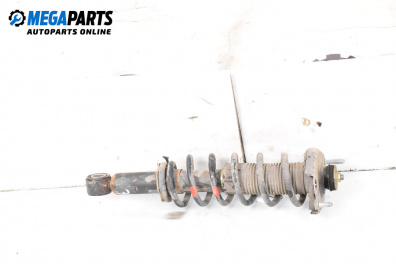 MacPherson-federbein for Toyota Corolla Verso II (03.2004 - 04.2009), minivan, position: links, rückseite