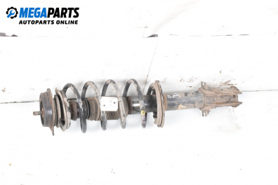 Amortizor McPherson for Lancia Musa Minivan (10.2004 - 09.2012), monovolum, position: dreaptă - fața