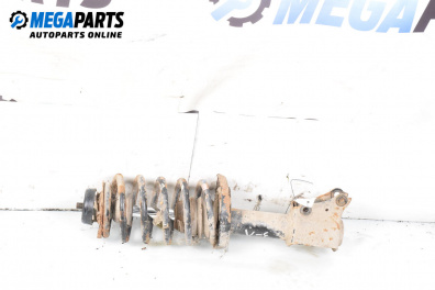 Amortizor McPherson for Audi 80 Sedan B3 (06.1986 - 10.1991), sedan, position: stânga - spate