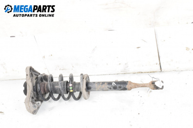 Amortizor McPherson for Audi A4 Sedan B6 (11.2000 - 12.2004), sedan, position: stânga - fața