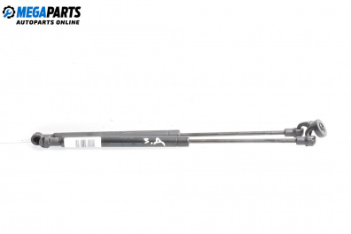 Tije telescopice, portbagaj for Renault Scenic II Minivan (06.2003 - 07.2010)