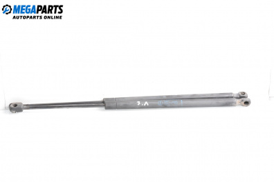 Tije telescopice, portbagaj for Renault Scenic II Minivan (06.2003 - 07.2010)