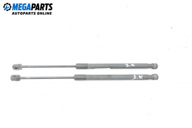 Tije telescopice, portbagaj for Suzuki Swift III Hatchback (02.2005 - 10.2010)