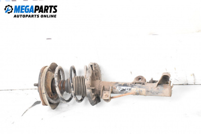 Amortizor McPherson for Mercedes-Benz C-Class Estate (S203) (03.2001 - 08.2007), combi, position: dreaptă - fața