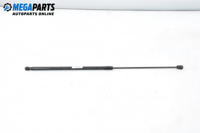 Tije telescopice, portbagaj for Volkswagen Passat V Variant B6 (08.2005 - 11.2011)