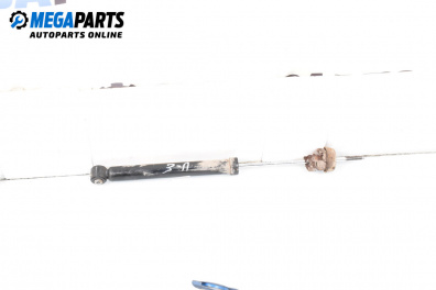 Amortizor for Volkswagen Lupo Hatchback (09.1998 - 07.2005), hatchback, position: stânga - spate