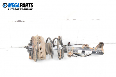 MacPherson-federbein for Mercedes-Benz C-Class Sedan (W203) (05.2000 - 08.2007), sedan, position: rechts, vorderseite
