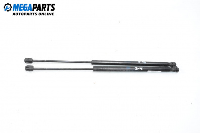 Tije telescopice, portbagaj for Land Rover Range Rover Sport I (02.2005 - 03.2013)