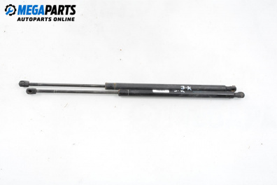 Tije telescopice, portbagaj for Land Rover Range Rover Sport I (02.2005 - 03.2013)