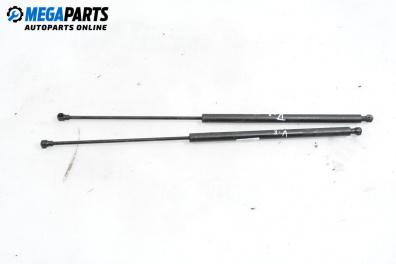 Tije telescopice, portbagaj for Citroen Xsara Picasso (09.1999 - 06.2012)