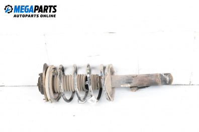 MacPherson-federbein for Citroen Xsara Picasso (09.1999 - 06.2012), minivan, position: rechts, vorderseite