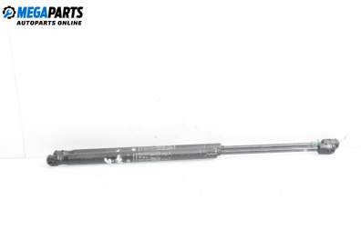 Tije telescopice, portbagaj for Fiat Punto Hatchback II (09.1999 - 07.2012)