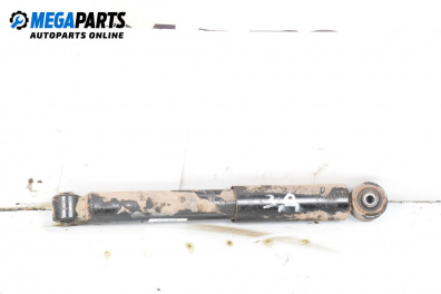 Amortizor for Fiat Punto Hatchback II (09.1999 - 07.2012), hatchback, position: dreaptă - spate