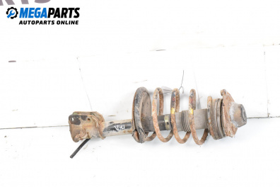 MacPherson-federbein for Alfa Romeo 145 Hatchback (07.1994 - 01.2001), hecktür, position: links, vorderseite