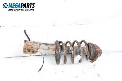 Amortizor McPherson for Alfa Romeo 145 Hatchback (07.1994 - 01.2001), hatchback, position: dreaptă - fața