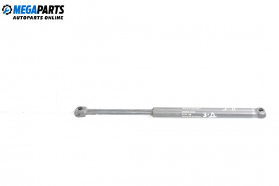 Tije telescopice, portbagaj for Fiat Punto Hatchback II (09.1999 - 07.2012)