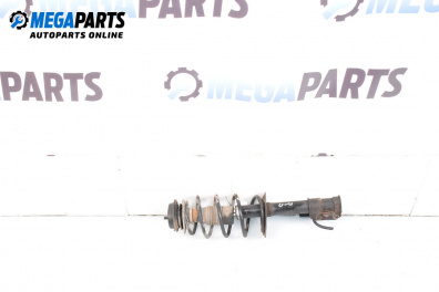 Amortizor McPherson for Fiat Punto Hatchback II (09.1999 - 07.2012), hatchback, position: stânga - fața