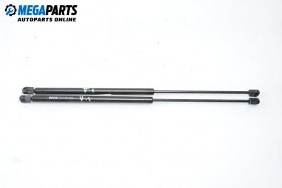 Tije telescopice, portbagaj for Renault Scenic I Minivan (09.1999 - 07.2010)