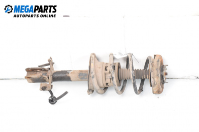 MacPherson-federbein for Renault Scenic I Minivan (09.1999 - 07.2010), minivan, position: rechts, vorderseite