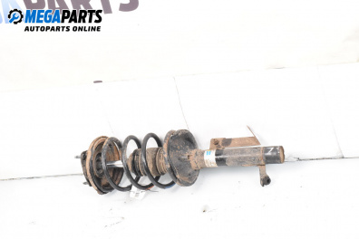 Macpherson shock absorber for Ford Focus I Hatchback (10.1998 - 12.2007), hatchback, position: front - left