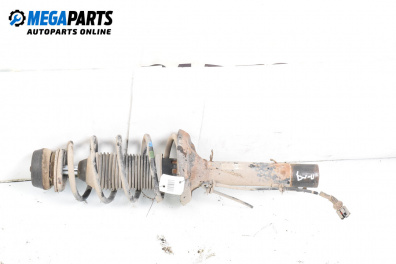 MacPherson-federbein for Volkswagen Golf IV Hatchback (08.1997 - 06.2005), hecktür, position: rechts, vorderseite