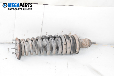 MacPherson-federbein for Mercedes-Benz M-Class SUV (W163) (02.1998 - 06.2005), suv, position: links, rückseite