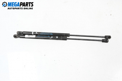 Tije telescopice, portbagaj for Citroen C3 Hatchback I (02.2002 - 11.2009)