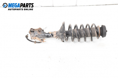 Amortizor McPherson for Volkswagen Golf III Hatchback (08.1991 - 07.1998), hatchback, position: dreaptă - fața