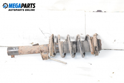 Amortizor McPherson for Seat Altea Minivan (03.2004 - 12.2015), monovolum, position: stânga - fața