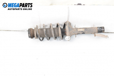 MacPherson-federbein for Audi A3 Hatchback I (09.1996 - 05.2003), hecktür, position: links, vorderseite