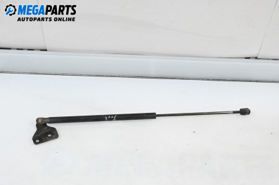 Tije telescopice, portbagaj for Ford Focus C-Max (10.2003 - 03.2007)