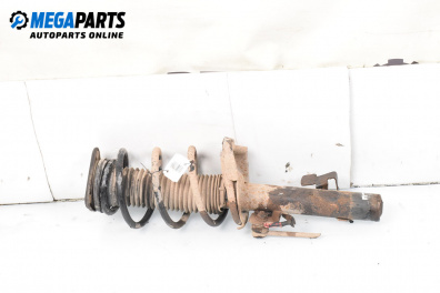 Amortizor McPherson for Ford Focus C-Max (10.2003 - 03.2007), monovolum, position: dreaptă - fața