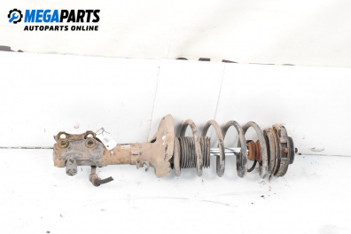 MacPherson-federbein for Seat Ibiza II Hatchback (03.1993 - 05.2002), hecktür, position: links, vorderseite